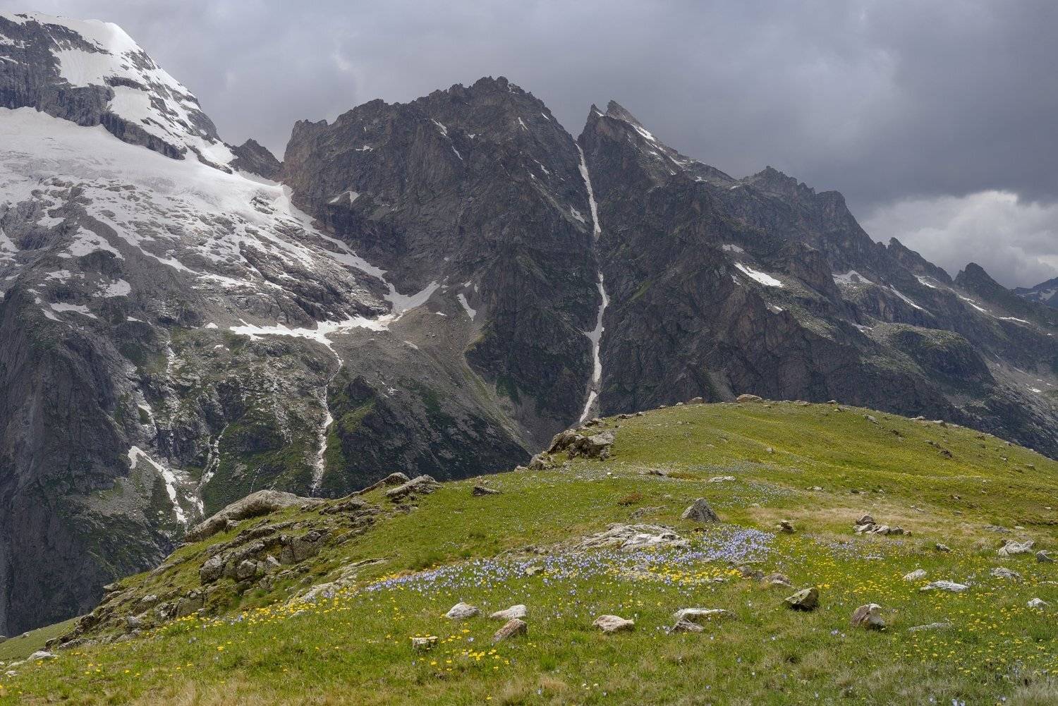 горы лето узункол  цветение, Александр Жарников