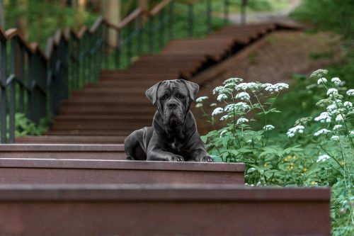 летняя прохлада