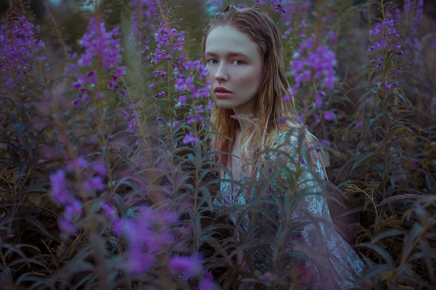 , Денис Котов