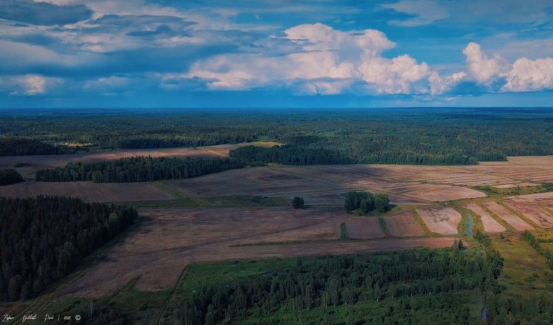 Раздавайся моя песня от колхоза до Кремля! фото превью