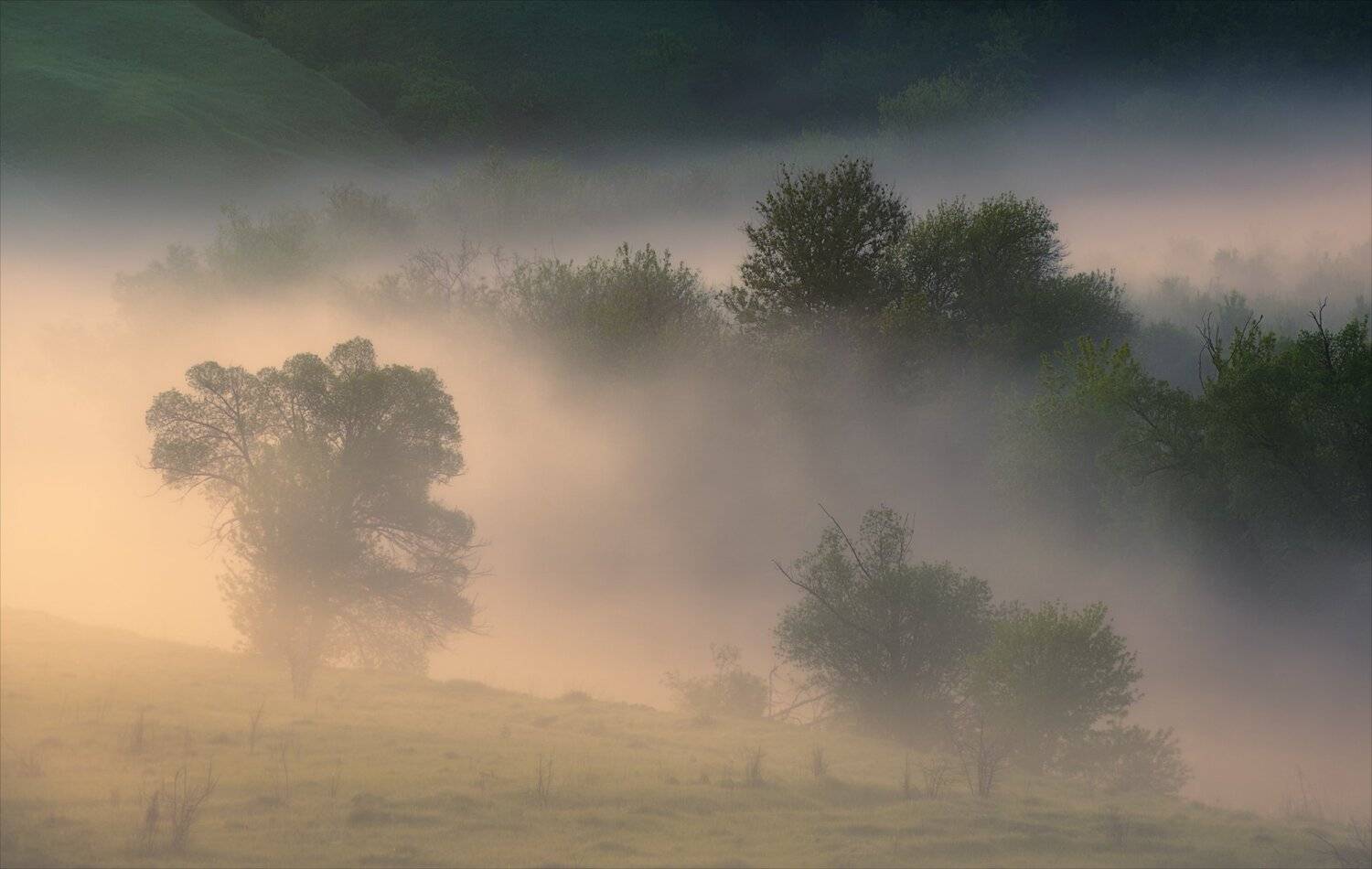 , Алексей Богорянов