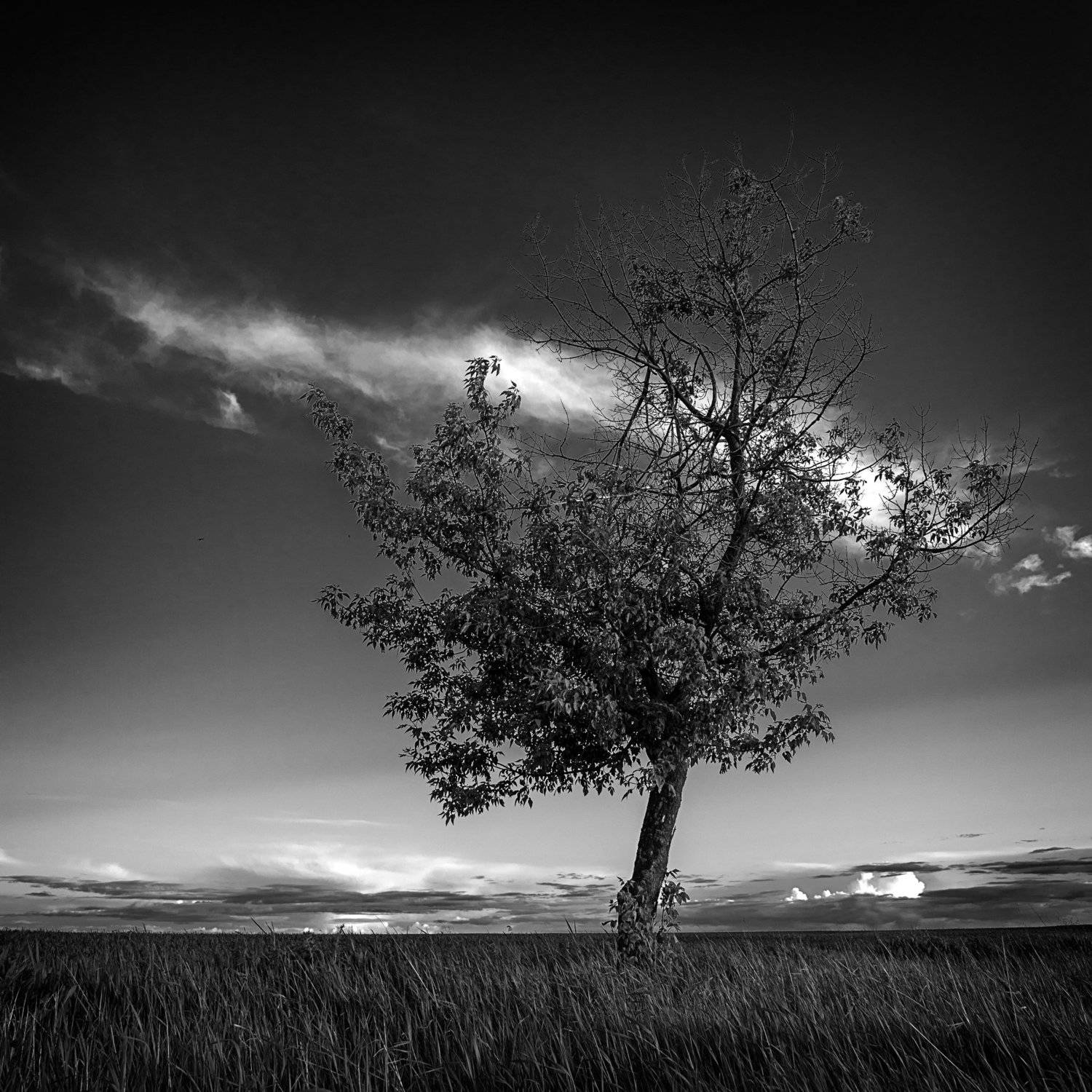 , Чистаев Александр