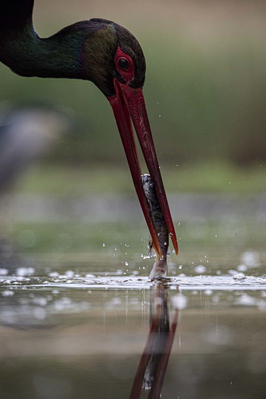 Last moment фото превью