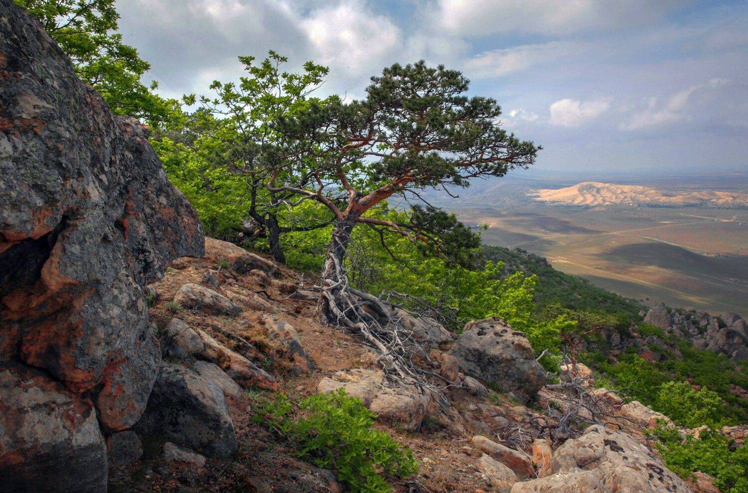 горы,вершины,пейзаж,небо,деревья,дагестан,природа, Marat Magov