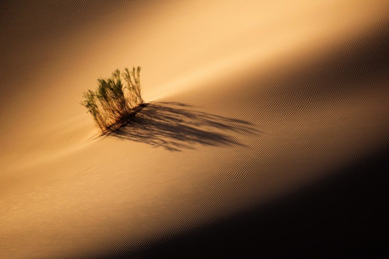 desert Painting of light фото превью