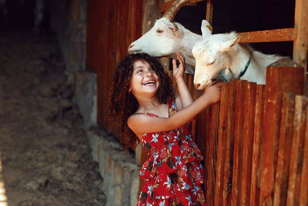 , Наталья Законова