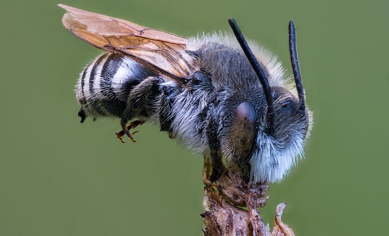 Крепкий сон фото превью