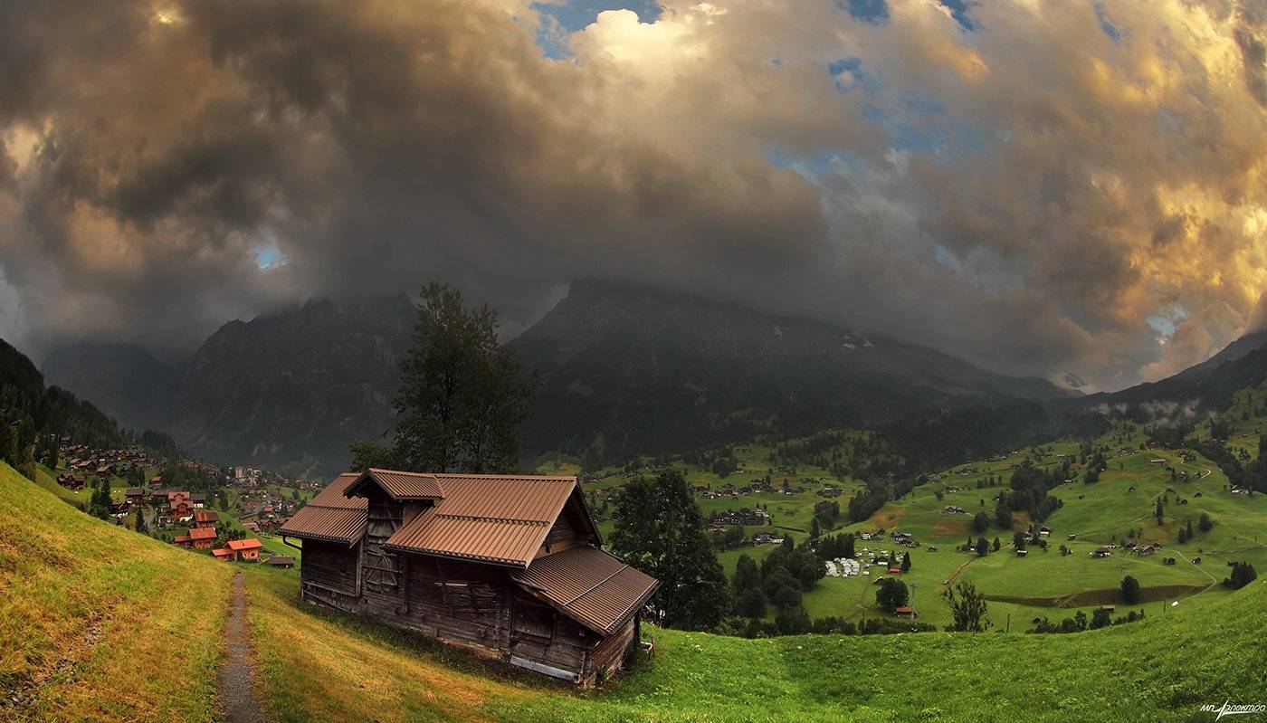 swiss, Матвеев Николай
