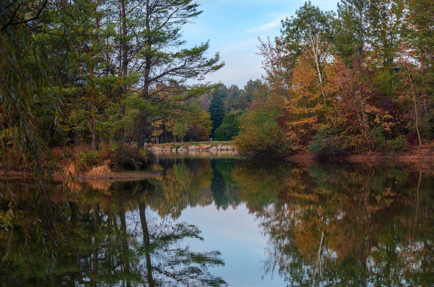 , Алексей Рыльский