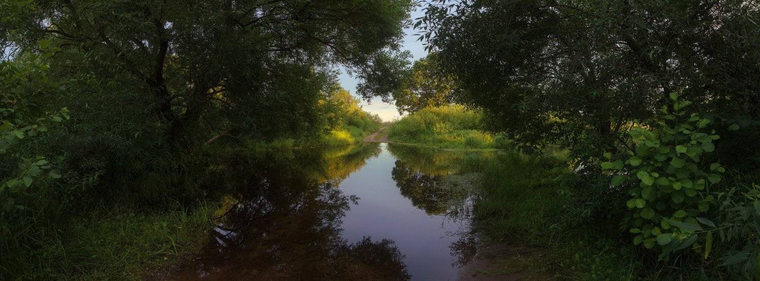 , Михаил Кушнер