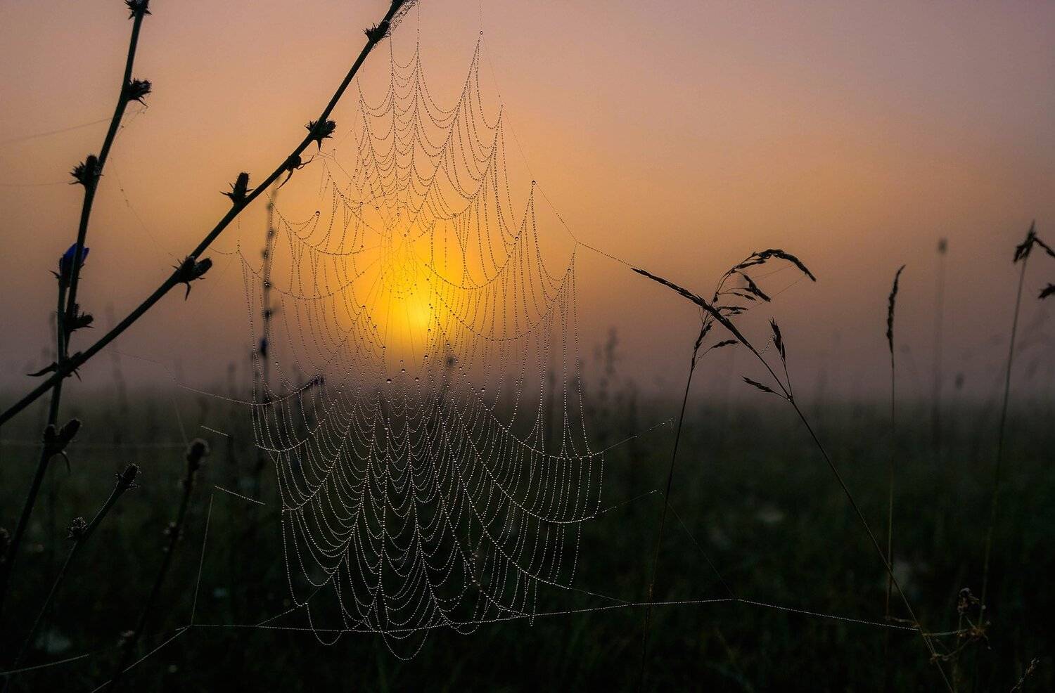 , Екатерина