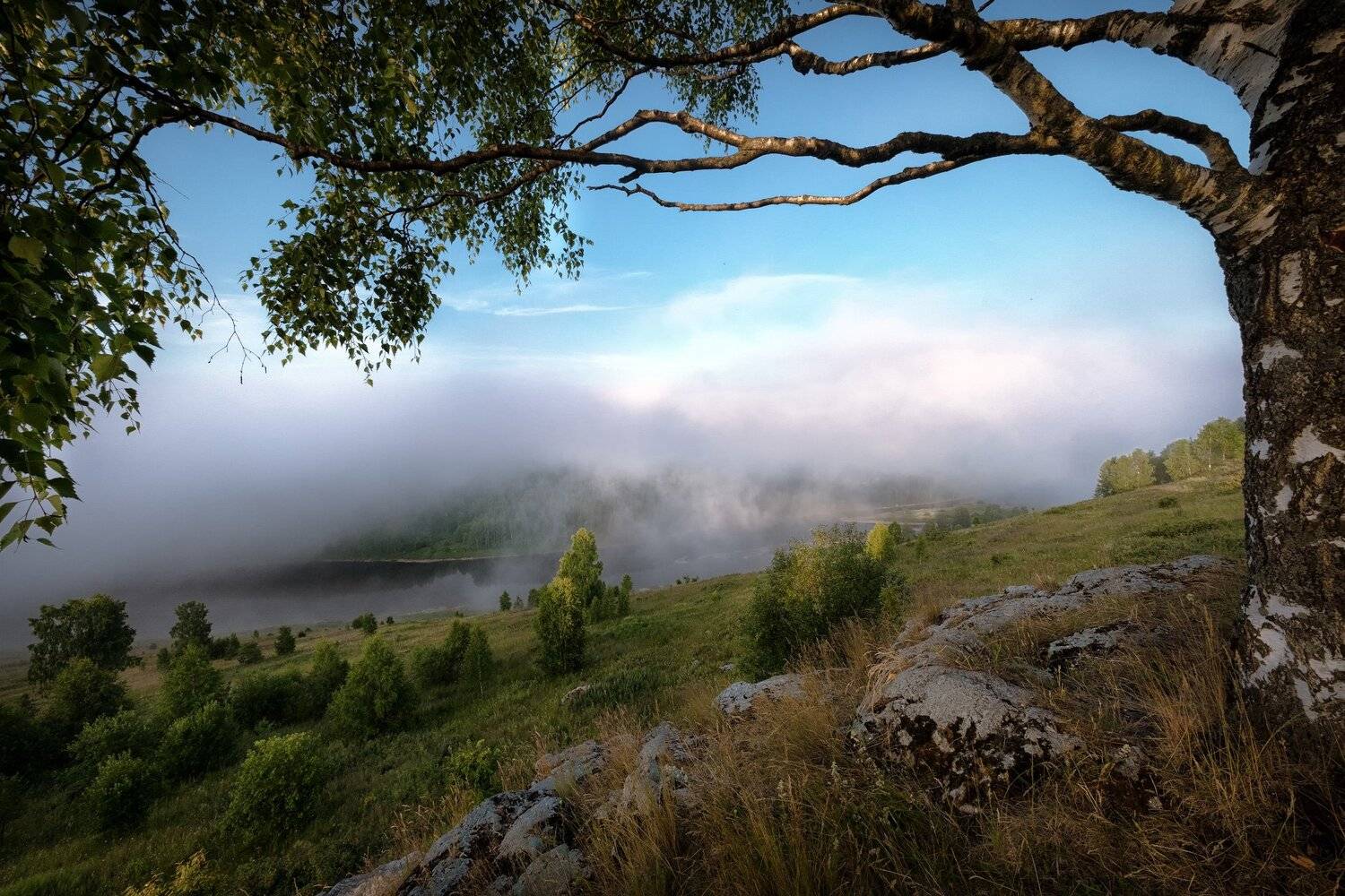 губаха, пермь, горы, косьва, река, облака, рассвет, утро, береза, камни, лес, Андрей Чиж