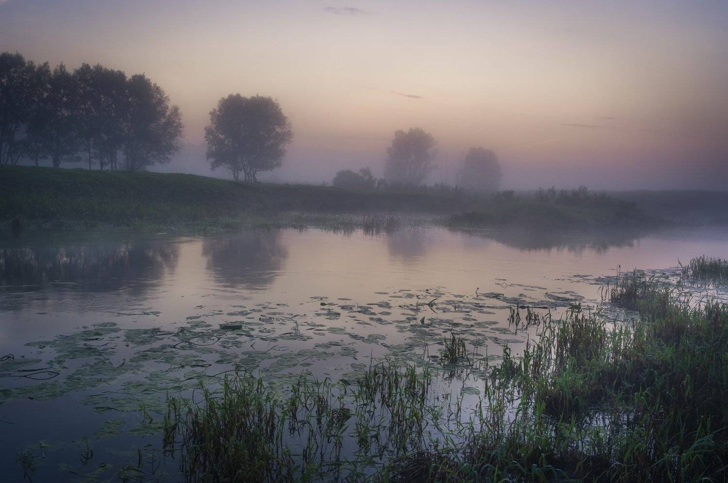 лето, пейзаж, рассвет, природа, утро, туман, Александр Кыров