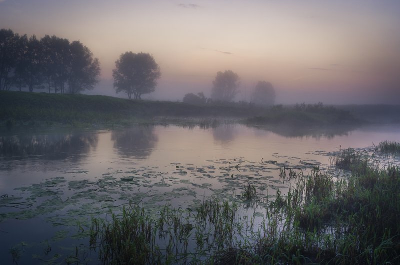лето, пейзаж, рассвет, природа, утро, туман Летние туманы фото превью