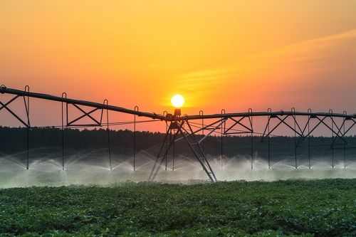 Расправляя крылья