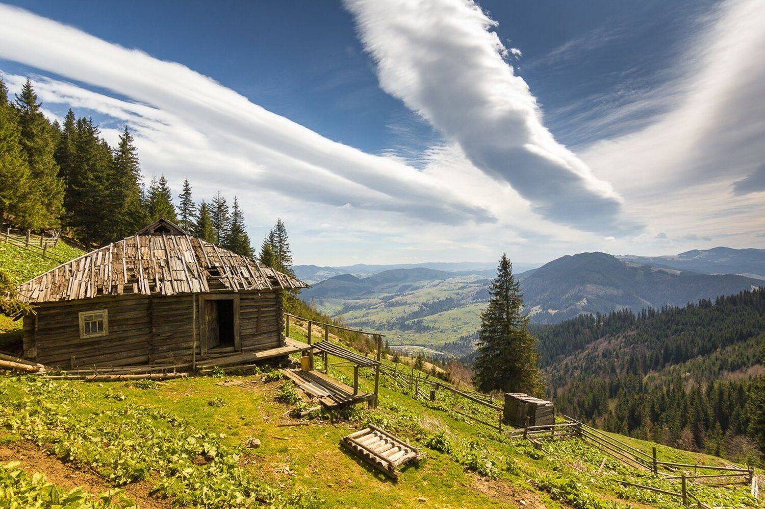 , Александр Подрез