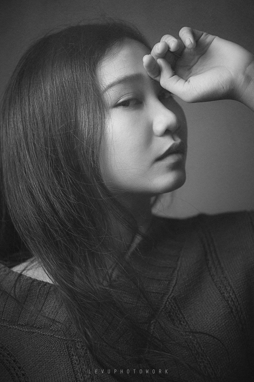 , L&ecirc; Nguyễn Vũ