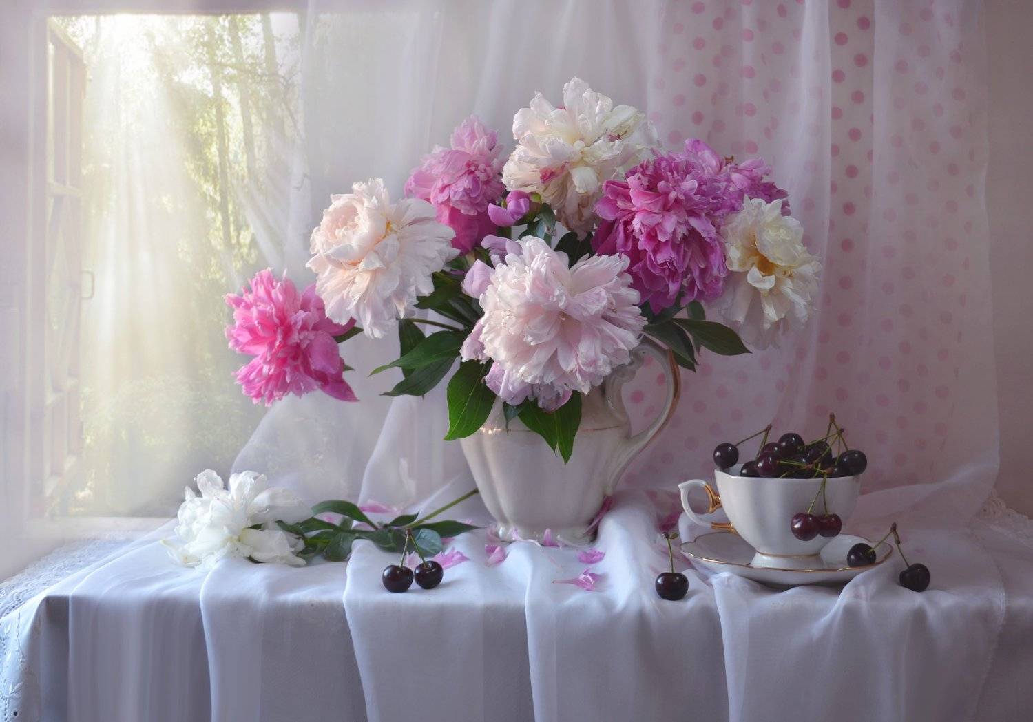 still life, натюрморт, цветы, фото натюрморт, пионы,   настроение,лето, июнь,вишня,фарфор, Колова Валентина