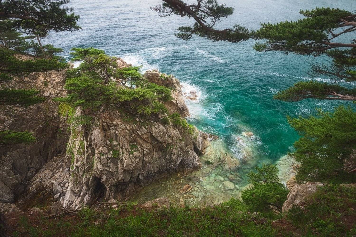 , Дмитрий Подкопаев