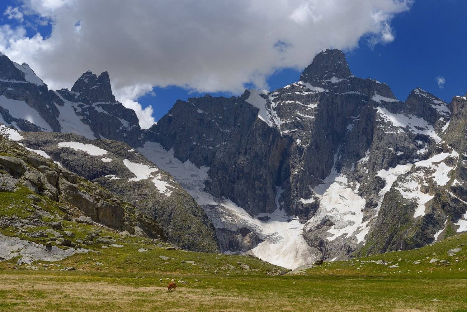 , Александр Жарников