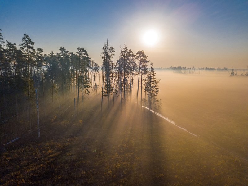 Туманное утро фото превью