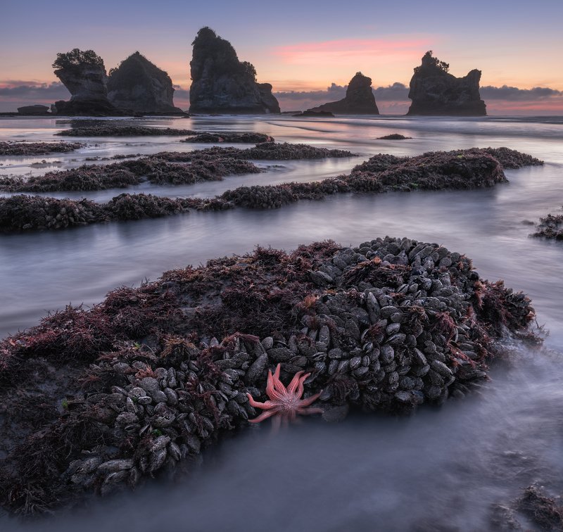 новая зеландия, new zealand Coast of New Zealand фото превью