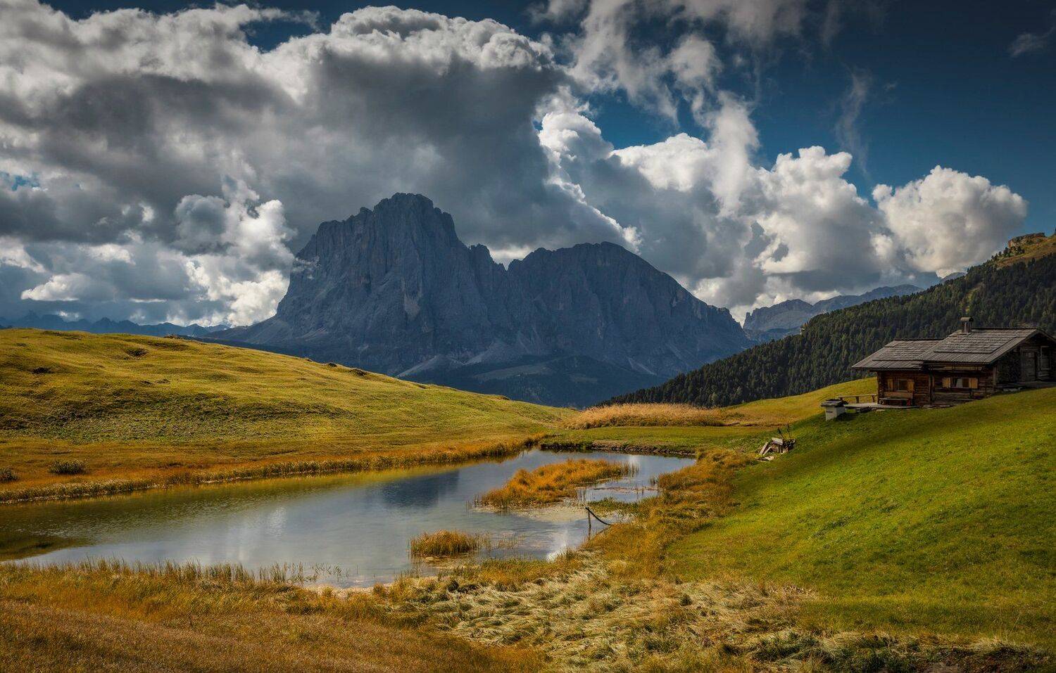 горы, поля, Александр Безмолитвенный
