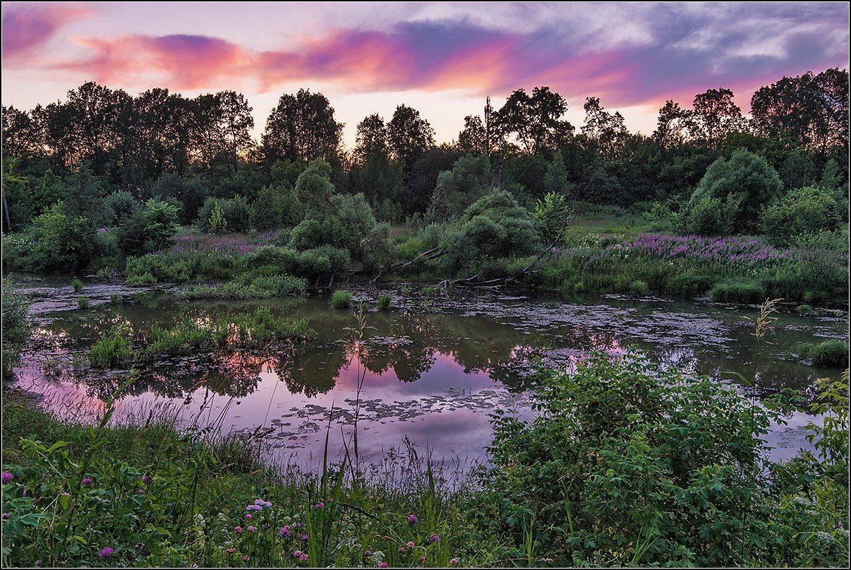 пруд, вечер, цветы, отражение, АНАТОЛИЙ ДОВЫДЕНКО