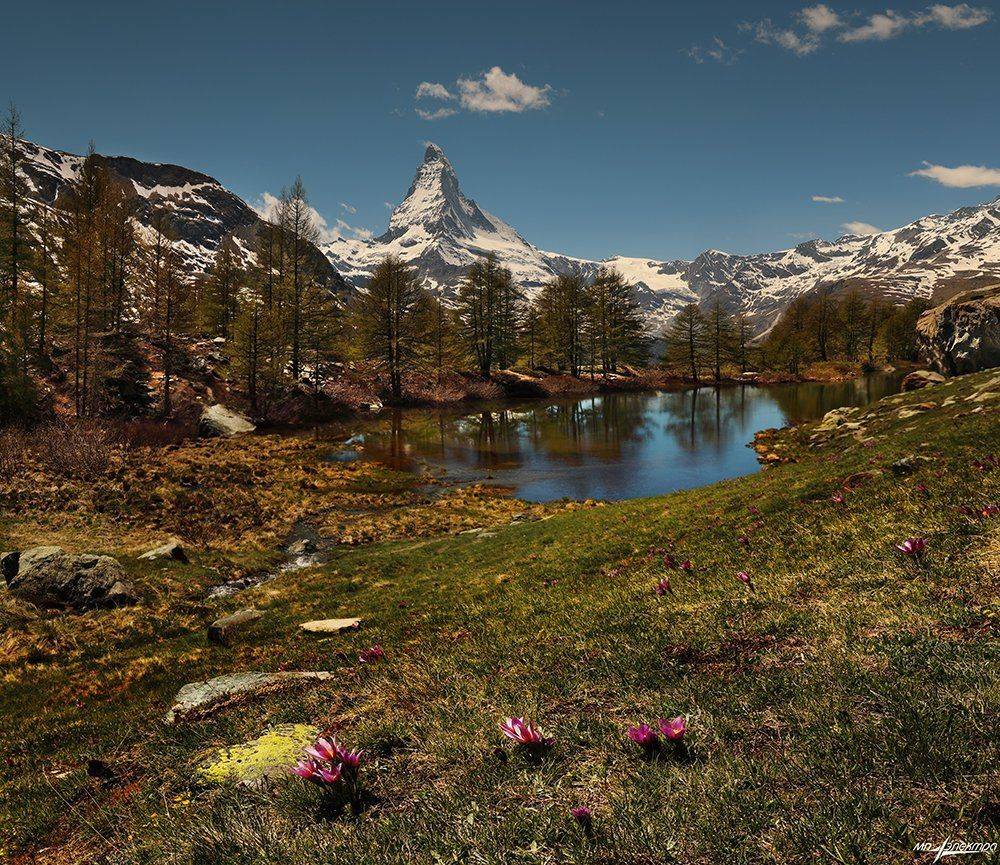 swiss, Матвеев Николай