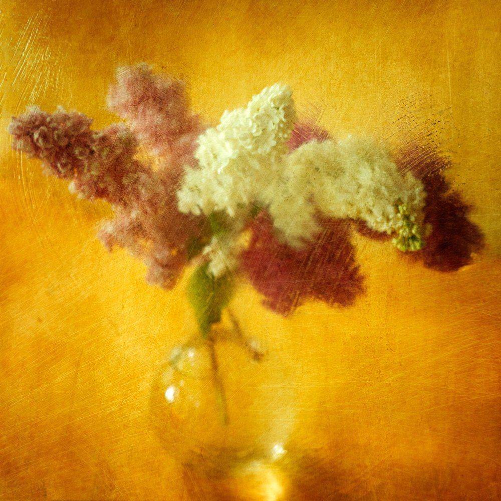 , Татьяна Аверина