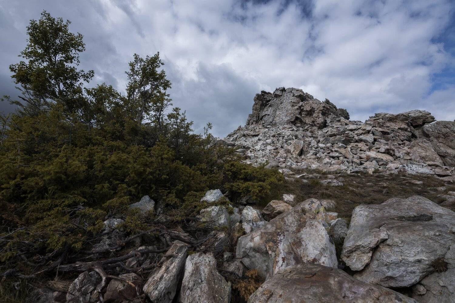 , Андрей Шарапов
