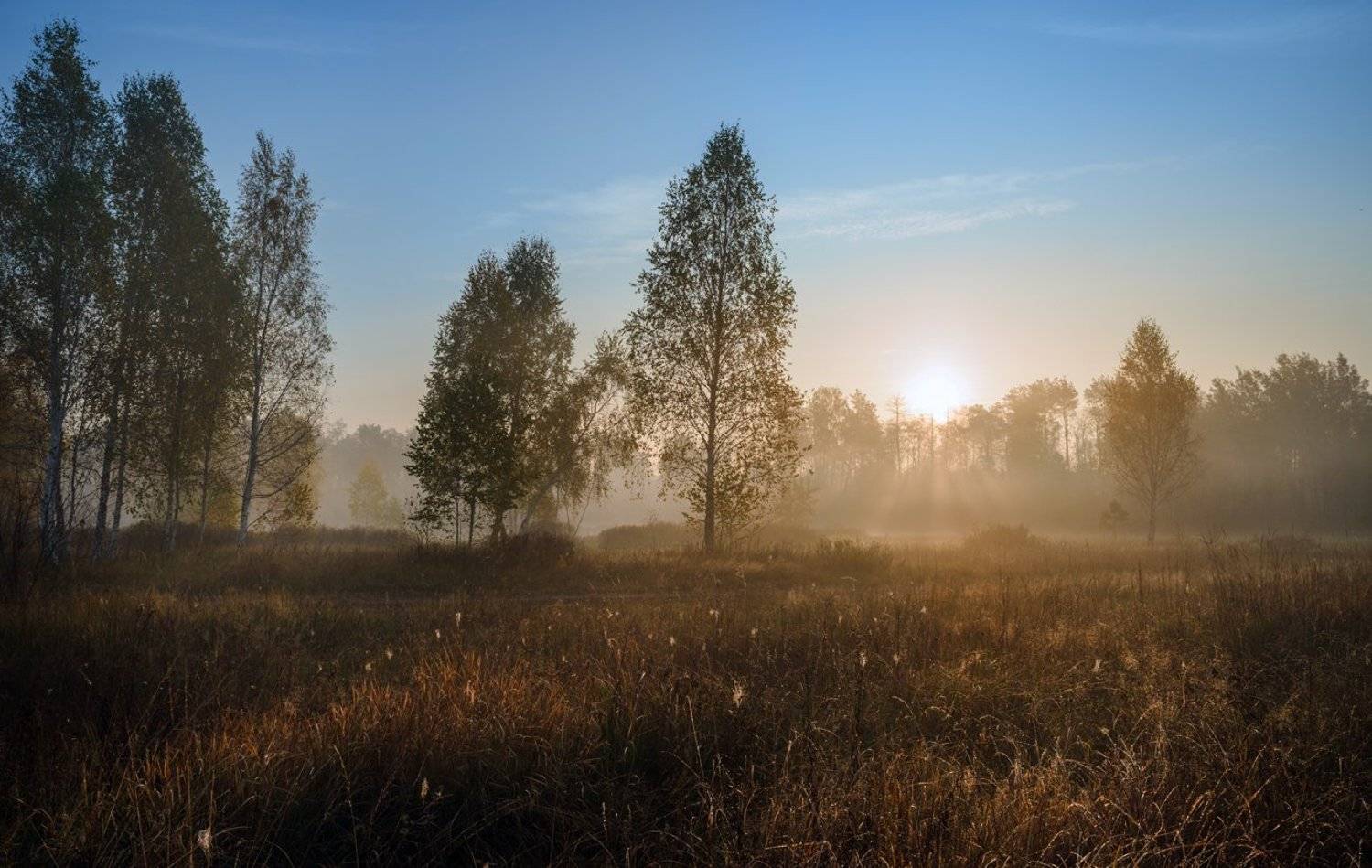 луг, осень, октябрь, утро, рассвет, туман, Галанзовская Оксана