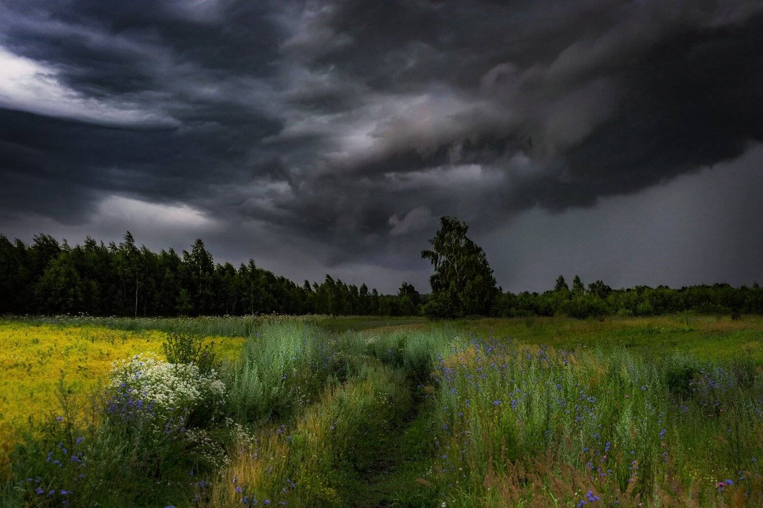 , Екатерина