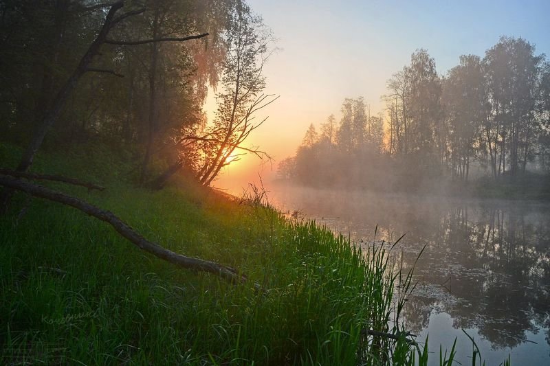 пейзаж, туман, рассвет, деревня, пруд, озеро Летний рассвет фото превью