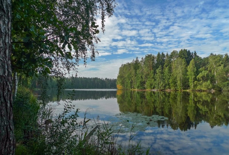 На берегу Лукового озера фото превью