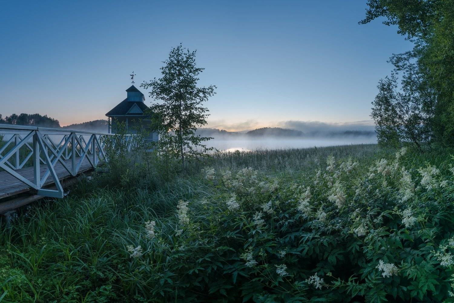 , Роман Фабричный