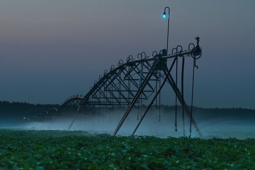 На службе человека