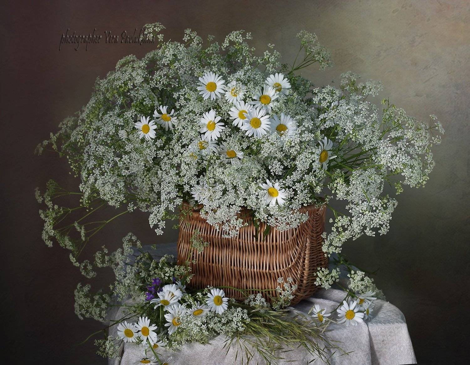 натюрморт,цветы,лето,вера павлухина,, Вера  Павлухина