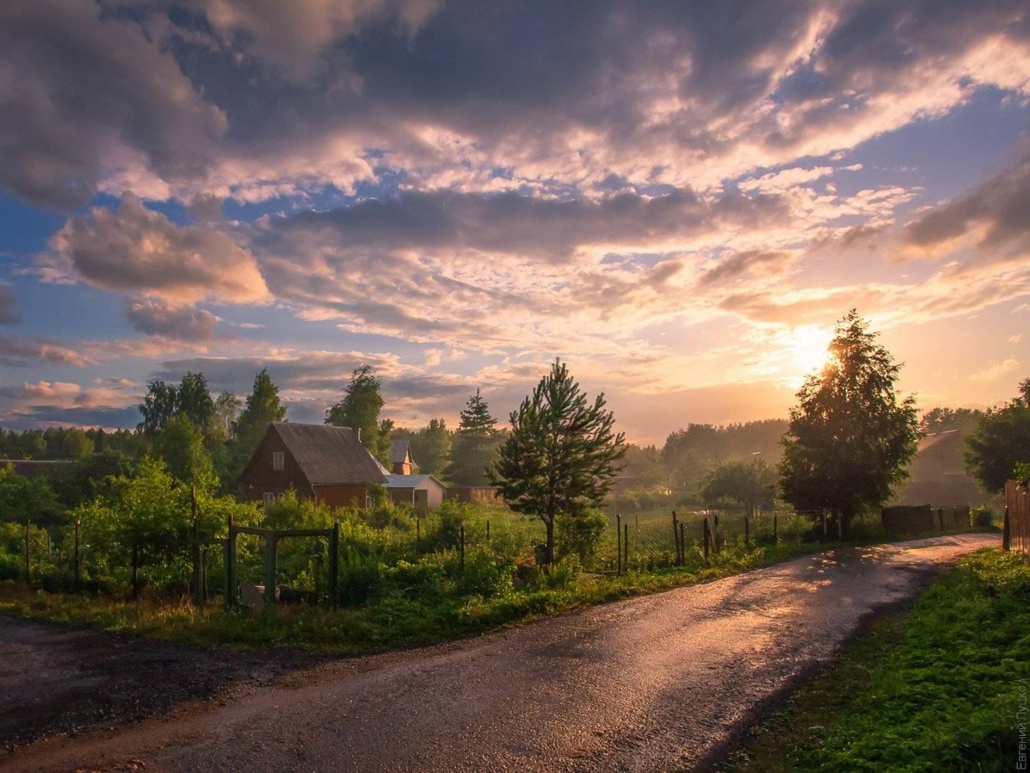 , Евгений Луцко