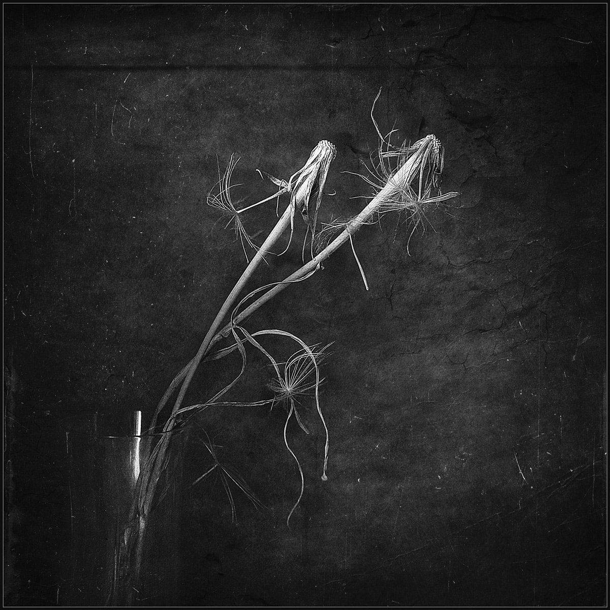 , Александр Хромеев