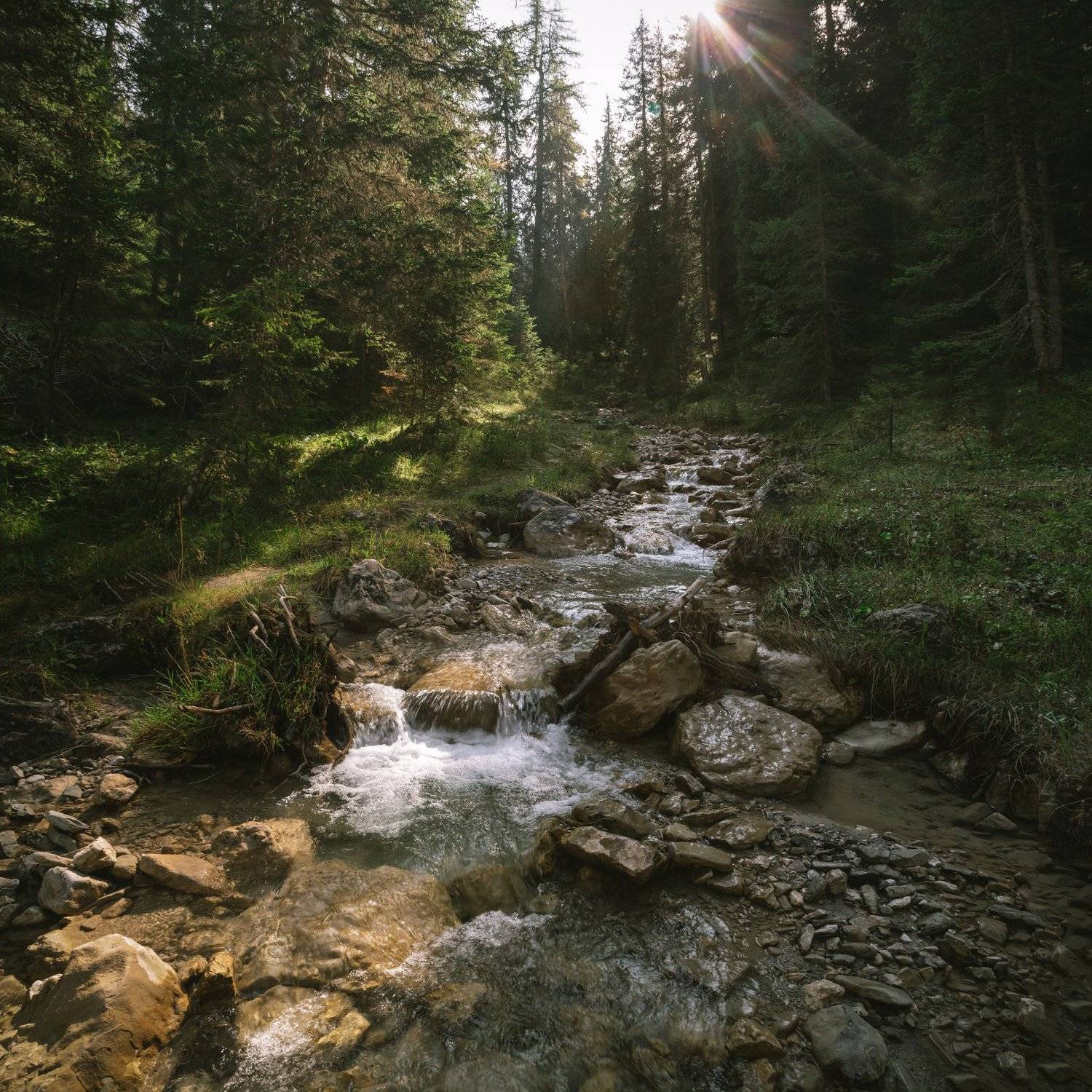 ручей; горы; лес, Александр Удовиченко