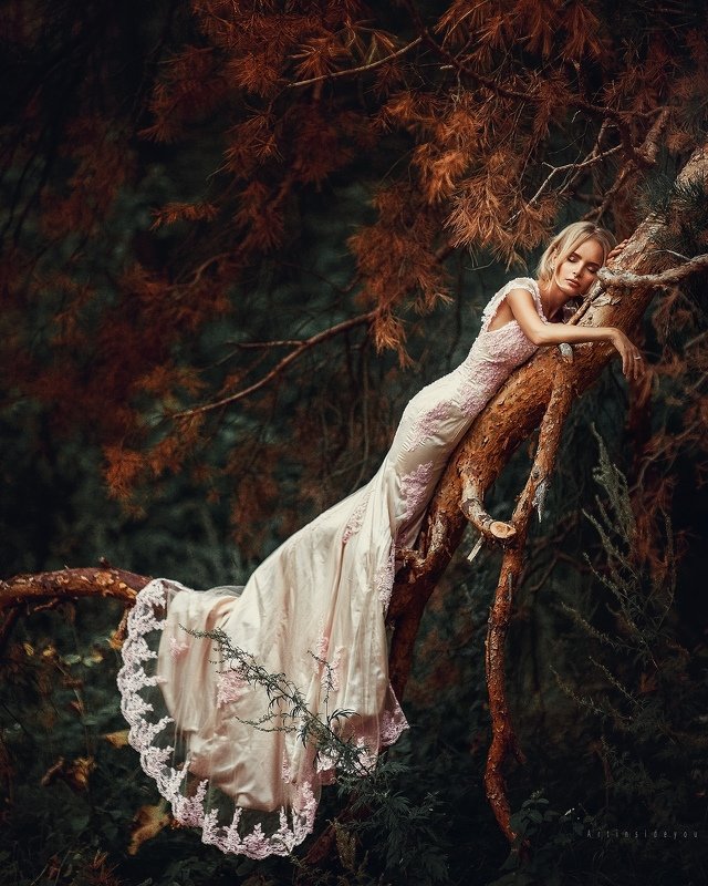 О фото превью