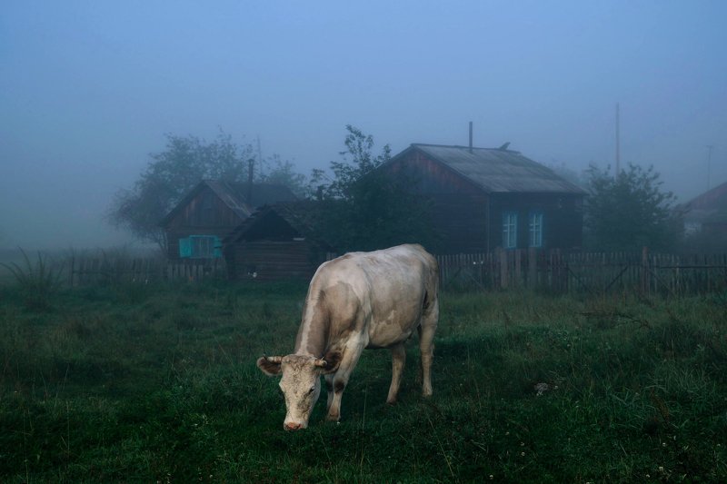 туман, утро Туман фото превью