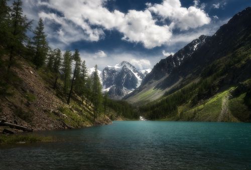 Шавлинское настроение