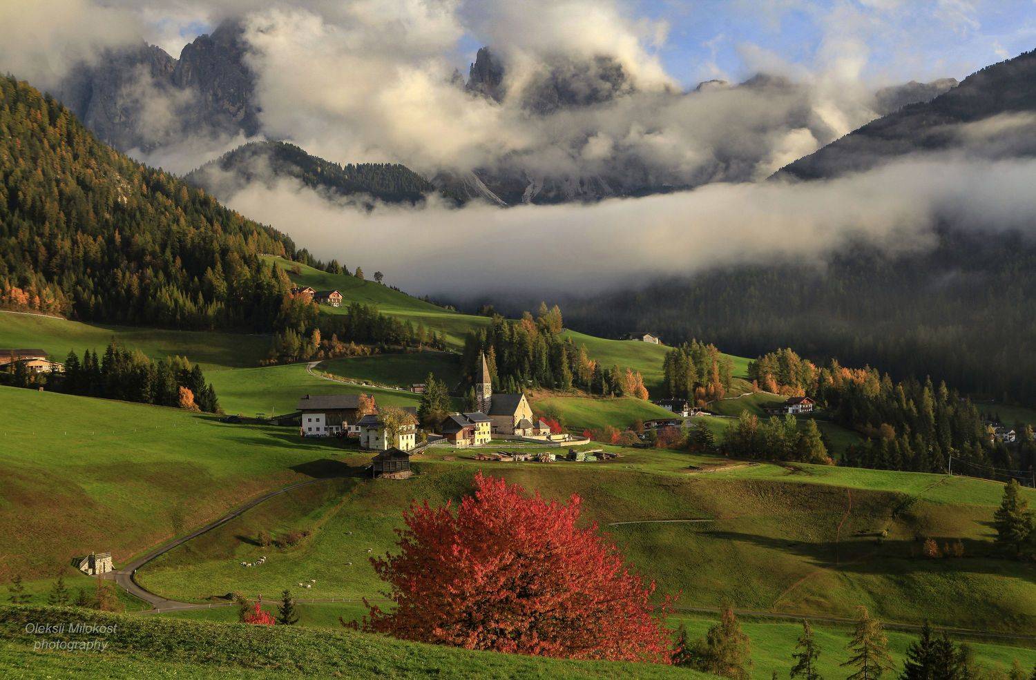 , Милокост Алексей