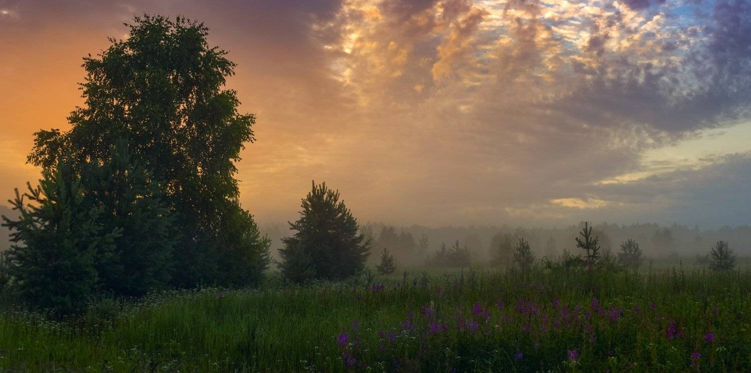 утро туман  поле  состояние, Дмитрий Алексеев