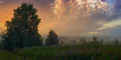 Момент рассвета