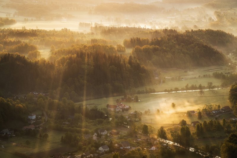 sun, rays, fog, summer, morning Rays фото превью