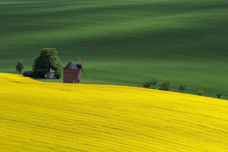 landscape, moravia, windmill, green, yellow, Windmill фото превью