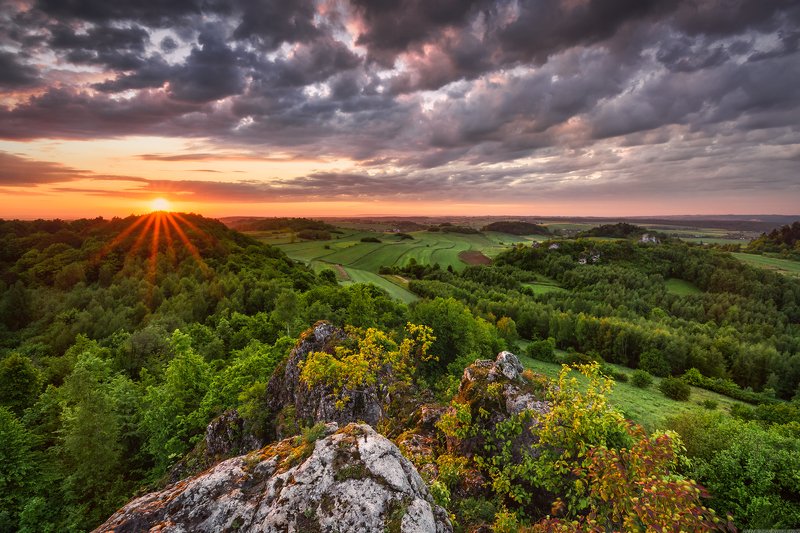 #cloud #sky  #nature #outdoors   #landscape #sunrise #landscape #nature #rock #tree #panoramic #nikon June Sunrise фото превью